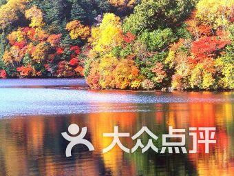 极限竞速地平线3