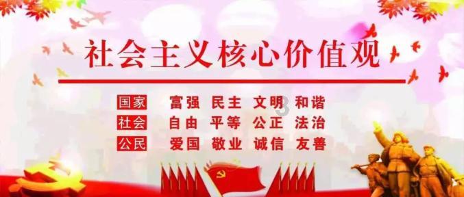 见缝插刀2
